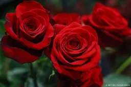anp150525105 1