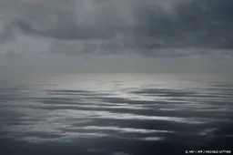 anp100626141 1