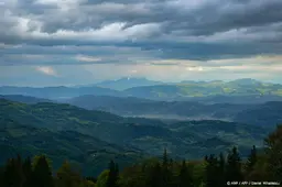 anp250726050 1
