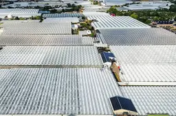 anp050826152 1