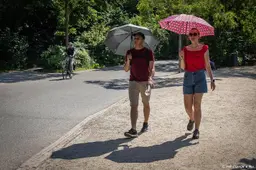 anp160826031 1