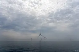 anp310826086 1