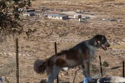 anp030926006 1