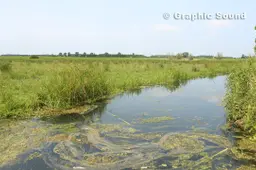 x0zw2tcou2qd7ho4u8bg6ug39 polder arkemheen