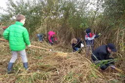 2018 11 18 vogeleiland 3