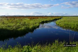 2020 07 11 polder arkemheen 10