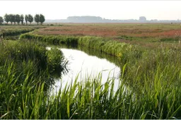 d2mu50qzmo9lmtz0c1qvrs689 arkemheensepolder