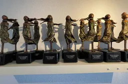 2024 03 07 vidm award