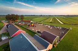 2025 02 11 boeren