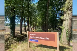 2025-08-19 oldenaller