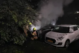 2025-10-09 autobrand 1