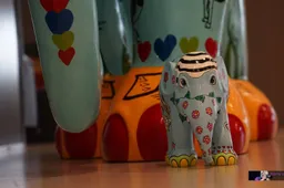 2025-10-16olifant ollie-1