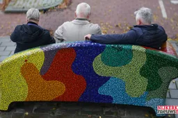 2025-11-14 bankje historisch hoeflake-5