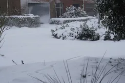 2026-01-07 sneeuw