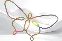 2026-02-05 metamorfose1