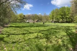 2026-02-19 hoevelakense bos