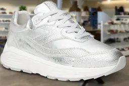 2026-03-06 broehuizen xsensible 1