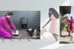 2026-03-30 aeres vmbo dierverzorging