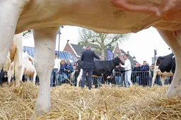 2026-04-20 Boerenmaandag -36