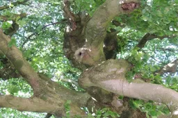 2026-05-23 treurbeuk