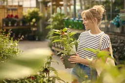 x20 20klimaatkamer20plantjes20actie