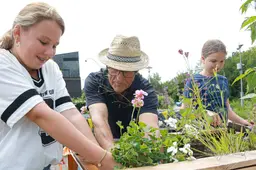 2026-07-03 de pol emmaschool plantjes biodiversiteit-1