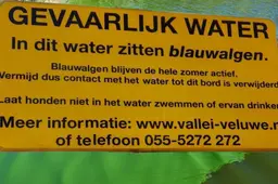 2026-07-17 blauwalg