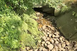 2026-07-18 waterschap droogte Veldbeek Bussenweg Putten