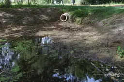 2026-08-08 droogte z5091