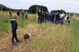 hereboeren lingezegen c jitske jonkman