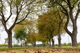 foto park l