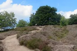 veluwe wandelnetwerk gelderland