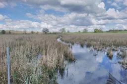 wetlands radboud universiteit