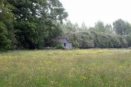 Oosterhoutse bos weide-bos VWG