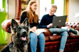 HVHL-hond-studenten