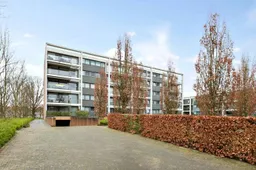 Treubstraat c Dynamis7