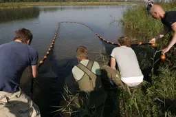 Zegentrek Waal gem. Nijmegen