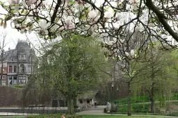 960x340 Kronenburgerpark