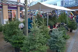 archieffoto kerst parelprojectennl