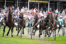 draverij 2018