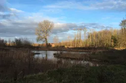 voorsterbos 2019 img 1723