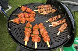 bbq img 3736