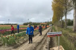 tulpensoortentuin henk van drie 23042017 img 2675