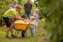 VinkFruitboerderij_FruitFestival 2025