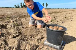 Winnaar-NK-Aardappelrooien-Jorrit-Kooistra-Lauwerzijl-