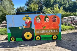 pompoenen bord