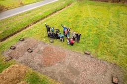 Bollen_de_grond_in_Tulpenfestival_2026-©David_Verolme
