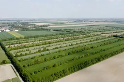 Agroforestry in de praktijk