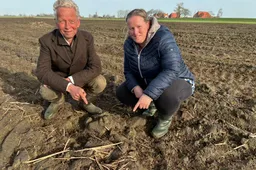 20260312_eerste kievitsei Flevoland