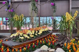 Pantropica River of Dreams IMG_4636